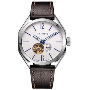 Men's Luminous Automatic Watch